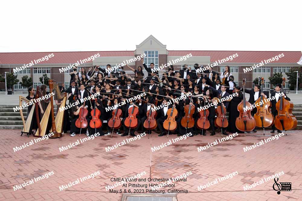 Musical Images